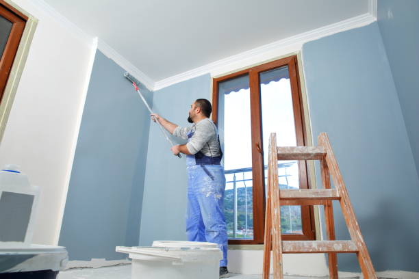 Best Wallpaper Removal and Painting  in Flossmoor, IL